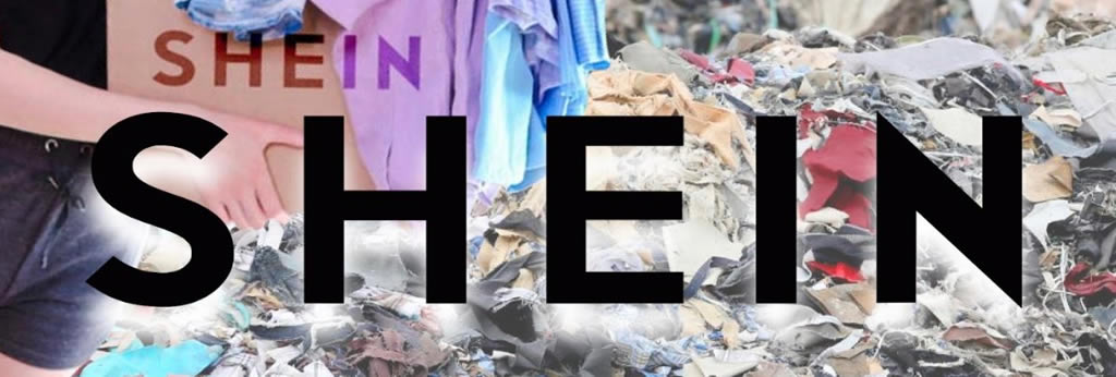 Le mépris des célébrités pour les consommateurs de Shein